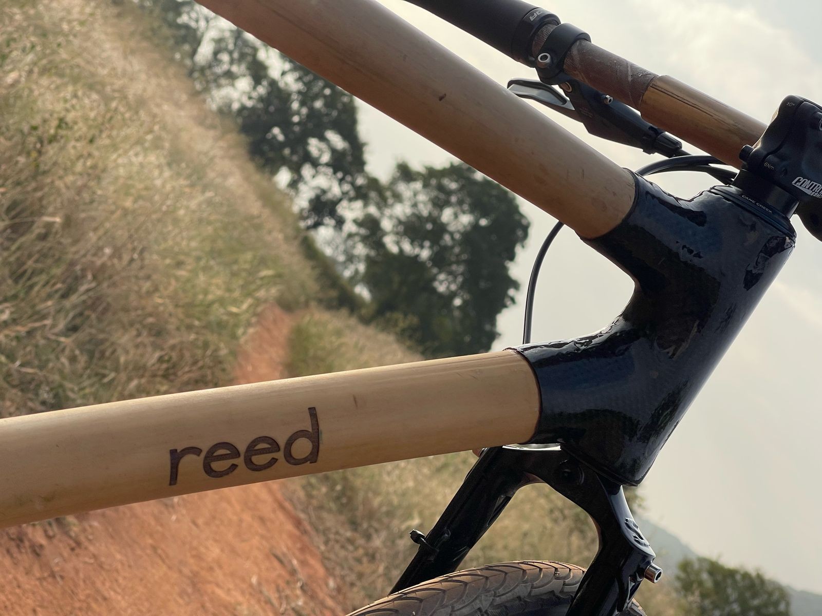 Iron Wood bamboo frame